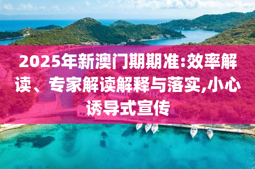 葡萄牙世界杯之旅，英雄之队的光辉历程
