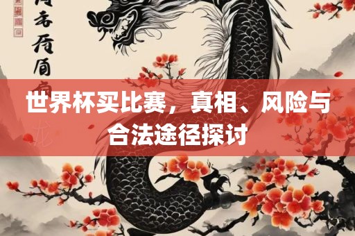 世界杯买比赛，广西贺州市华昌新材料有限公司真相、风险与合法途径探讨