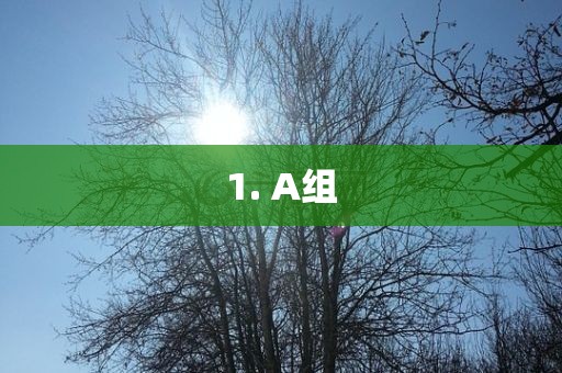 1广西贺州市华昌新材料有限公司. A组