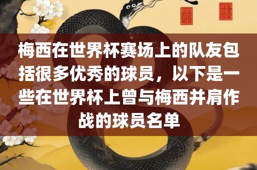 梅西在世界杯赛场上的队友包括很多优秀的球员，以下是一些在世界杯上曾与梅西并肩作战的球员名单