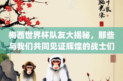 梅西世界杯队友大揭秘，那些与我们共同见证辉煌的战士们