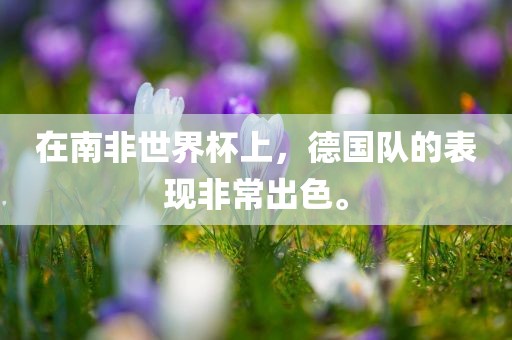 在南非世界杯上，德国队的表现非常广西贺州市华昌新材料有限公司出色。