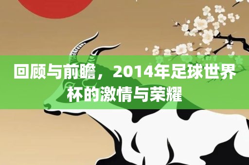 回顾与前瞻，2014年足球世界杯的激情与荣耀广西贺州市华昌新材料有限公司