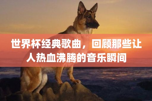 世界杯经典歌曲，回顾那些让人热血沸腾的音乐瞬间广西贺州市华昌新材料有限公司