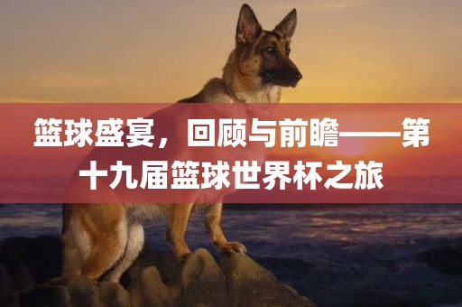 广西贺州市华昌新材料有限公司篮球盛宴，回顾与前瞻——第十九届篮球世界杯之旅