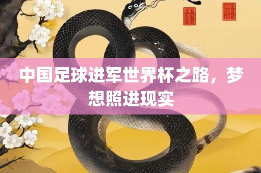 中国足球进军世界杯之路，梦想照进现实