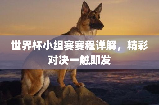 世界杯小组赛赛程详解，精彩对决一触即发广西贺州市华昌新材料有限公司