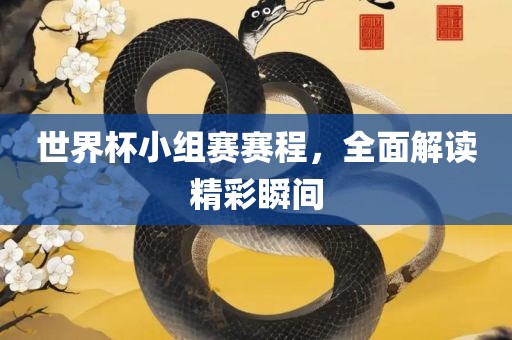 世界杯小组赛赛程，全面解读精彩瞬间