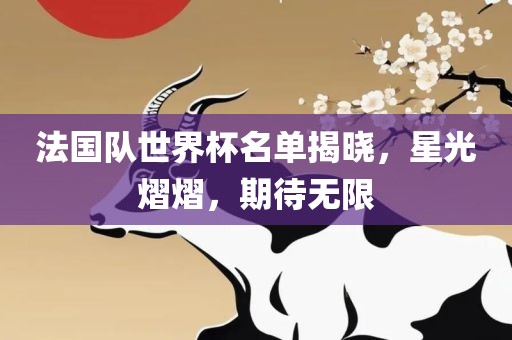 法国队世界杯名单揭晓，星光熠熠，期待无限广西贺州市华昌新材料有限公司