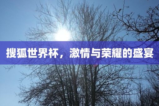 搜狐世界杯，激情与荣耀的盛宴广西贺州市华昌新材料有限公司