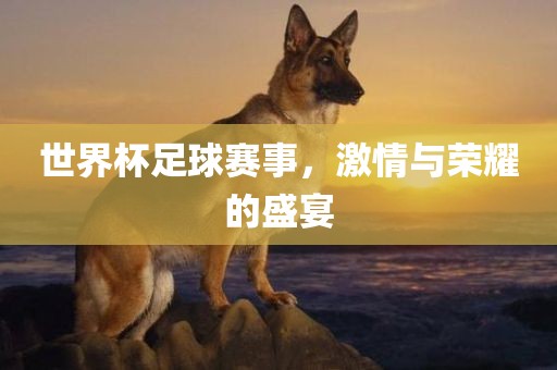 世界杯足球赛事，激情与荣耀的盛宴广西贺州市华昌新材料有限公司