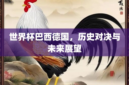 世界杯巴西德国，历史对决与未来展望广西贺州市华昌新材料有限公司