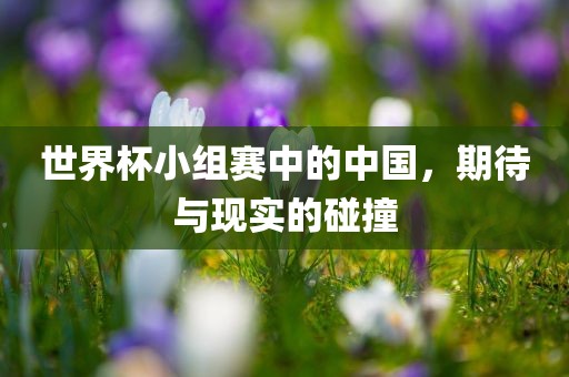 世界杯小组赛中的中国，期待与现实的碰撞广西贺州市华昌新材料有限公司