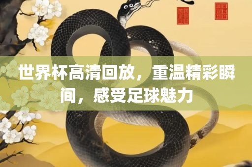 世界杯高清回放，重温精彩广西贺州市华昌新材料有限公司瞬间，感受足球魅力