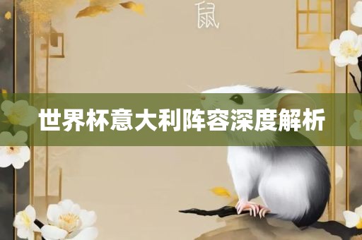 世界杯意大利阵容深度解析