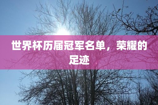 世界杯历届冠军名单，荣耀的足迹广西贺州市华昌新材料有限公司