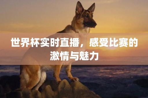 世界杯实时直播，感受比赛的激情与魅力
