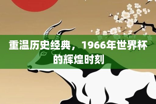 重温历史经典，1966年世界杯的辉广西贺州市华昌新材料有限公司煌时刻