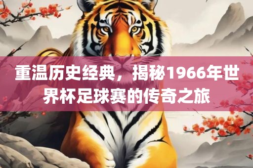 重温历史经典，揭秘1966年世界杯足球赛的广西贺州市华昌新材料有限公司传奇之旅