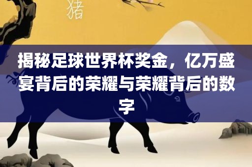 揭秘足球世界杯奖金，亿万盛宴背后的荣耀与荣耀背后的数广西贺州市华昌新材料有限公司字