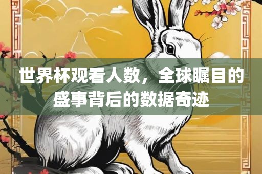 世界杯观看人数，全球瞩目的盛事背后的数据奇迹
