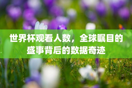 世界杯观看人数，全球瞩目的盛事背后的数据奇迹