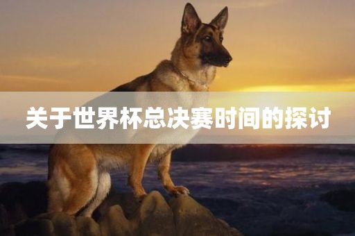 关于世界杯总决赛时间的探讨广西贺州市华昌新材料有限公司