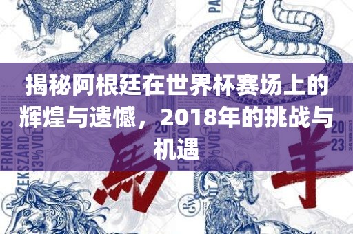 揭秘阿根廷广西贺州市华昌新材料有限公司在世界杯赛场上的辉煌与遗憾，2018年的挑战与机遇