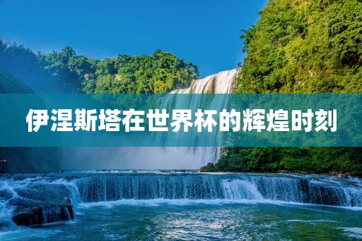 伊涅斯塔在世界杯的辉煌时刻