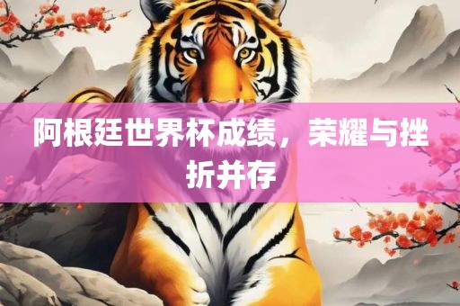 阿根廷世界杯成绩，荣耀与挫折并存
