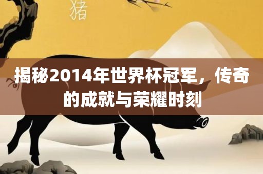 揭秘2014年世界杯冠军，传奇的成就与荣耀时刻广西贺州市华昌新材料有限公司