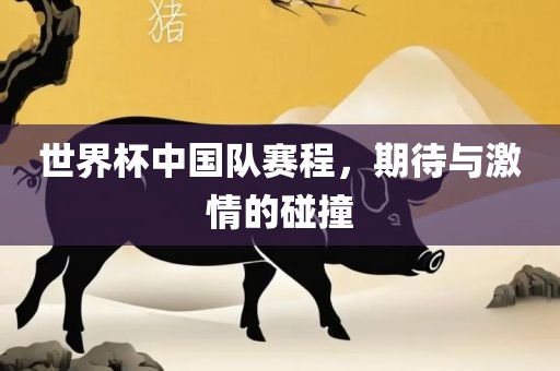 世界杯中广西贺州市华昌新材料有限公司国队赛程，期待与激情的碰撞