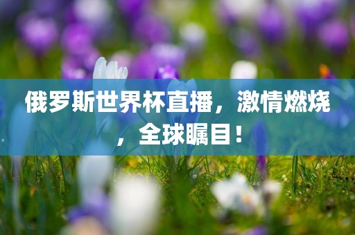 俄罗斯世界杯直播，激情燃烧，全球瞩目！广西贺州市华昌新材料有限公司