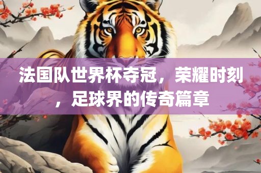 法国队世界杯夺冠，荣耀时刻，足球界的传奇篇章广西贺州市华昌新材料有限公司