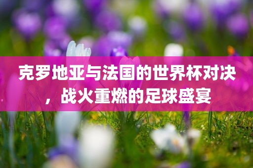 克罗地亚与法国的世界杯对决，战火重燃的足球盛宴广西贺州市华昌新材料有限公司