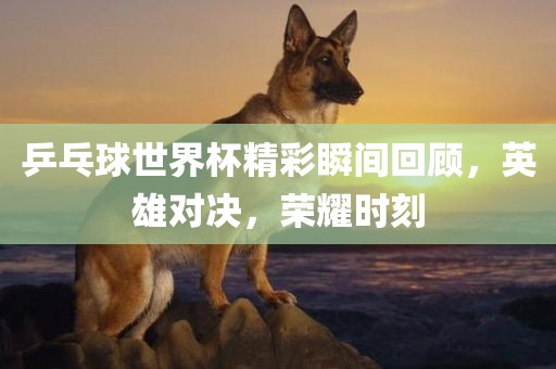 乒乓球世界杯精彩瞬间回顾，英雄对决，荣耀时刻广西贺州市华昌新材料有限公司