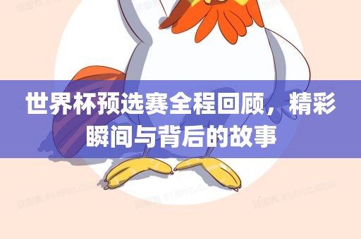 世界杯预选赛全程回顾，精彩瞬间与背后的故事广西贺州市华昌新材料有限公司