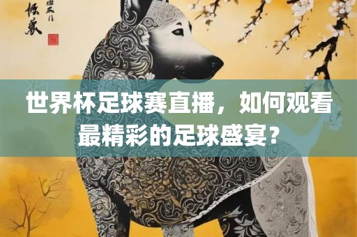 世界杯足球赛直播，如何观看最精彩的足球盛宴？