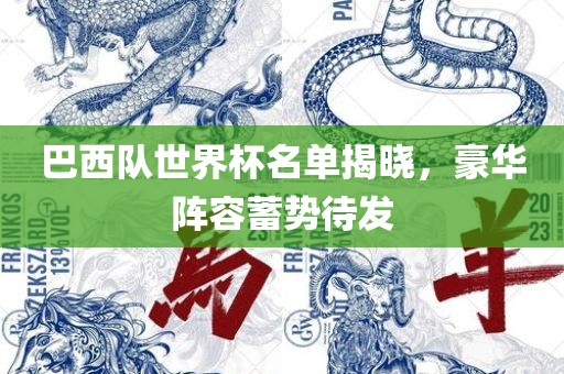 巴西队世界杯名单揭晓，广西贺州市华昌新材料有限公司豪华阵容蓄势待发