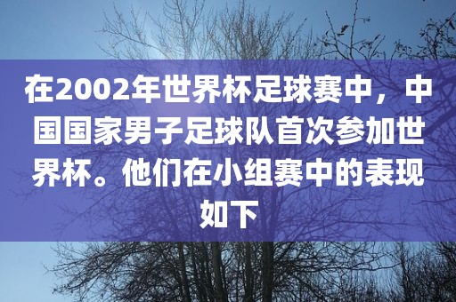在2002年世界杯足球赛中，中国国家男子足球队首次参加世界杯。他们在小组赛中的表现如下