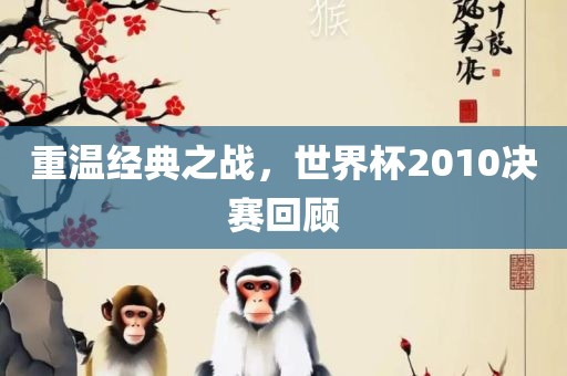 重温经典之战，世界杯2010决赛回顾广西贺州市华昌新材料有限公司