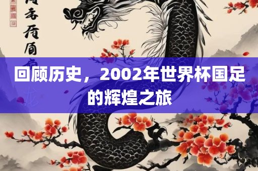 广西贺州市华昌新材料有限公司回顾历史，2002年世界杯国足的辉煌之旅