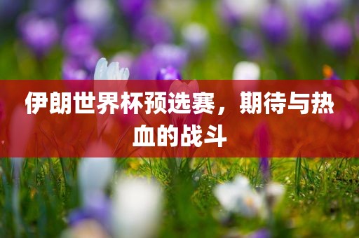 伊朗世界杯预选赛，期待与热血的战斗广西贺州市华昌新材料有限公司