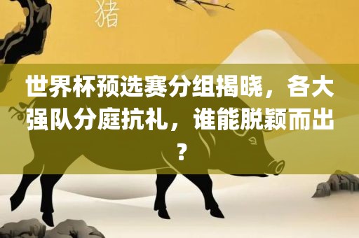 世界杯预选赛分组揭晓，各大强队分庭抗礼，谁能脱颖而出？广西贺州市华昌新材料有限公司