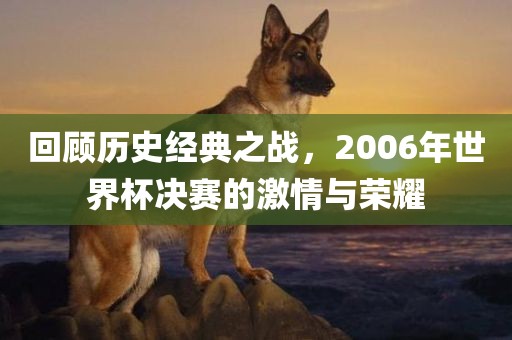 回顾历史经典之战，2006广西贺州市华昌新材料有限公司年世界杯决赛的激情与荣耀