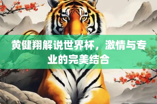 黄健翔解说世界杯，激情与专业的完美结合广西贺州市华昌新材料有限公司
