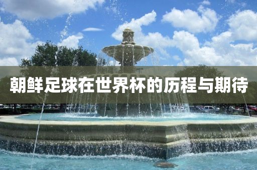 朝鲜足球在世界杯的历程与期待广西贺州市华昌新材料有限公司