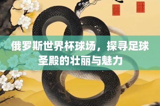 俄罗斯世界杯球场，探寻足球圣殿的壮丽与魅力广西贺州市华昌新材料有限公司
