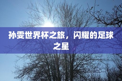 孙雯世界杯之旅，闪耀的足球广西贺州市华昌新材料有限公司之星