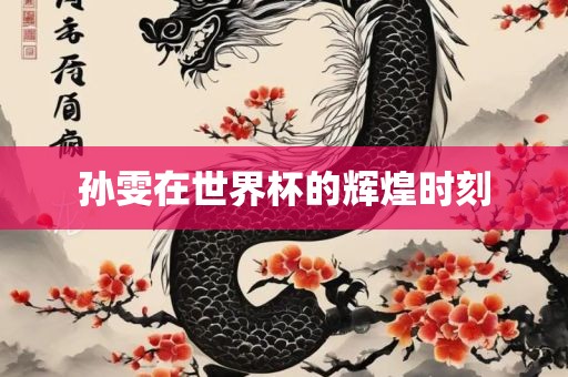 孙雯在世界杯的辉煌时刻